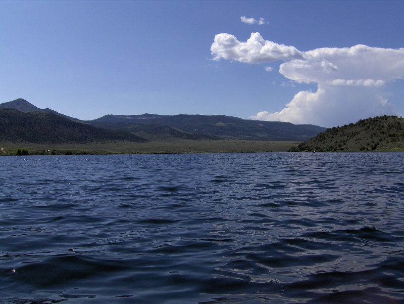 Hebgen Lake - Montana